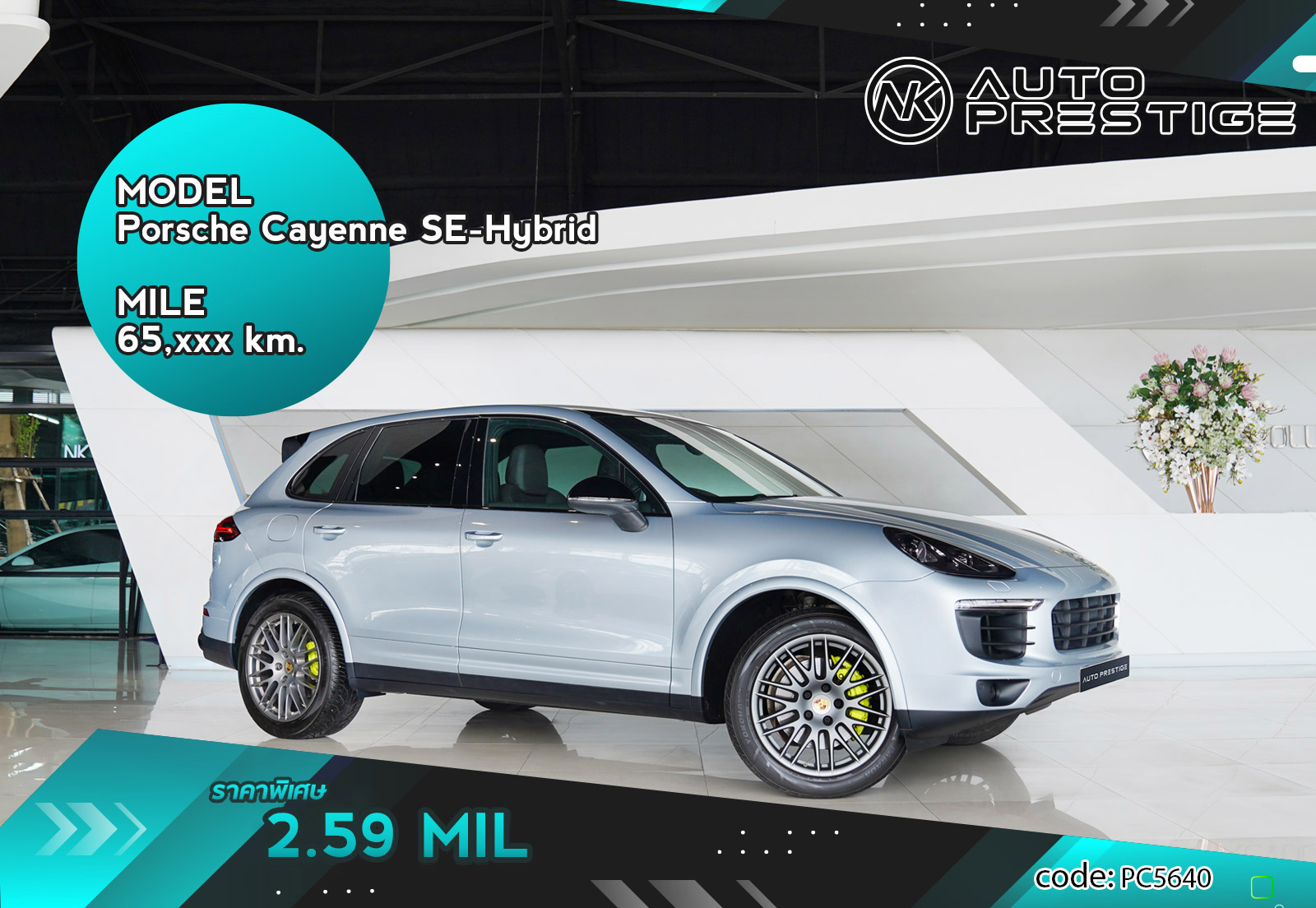 Porsche Cayenne SE-Hybrid